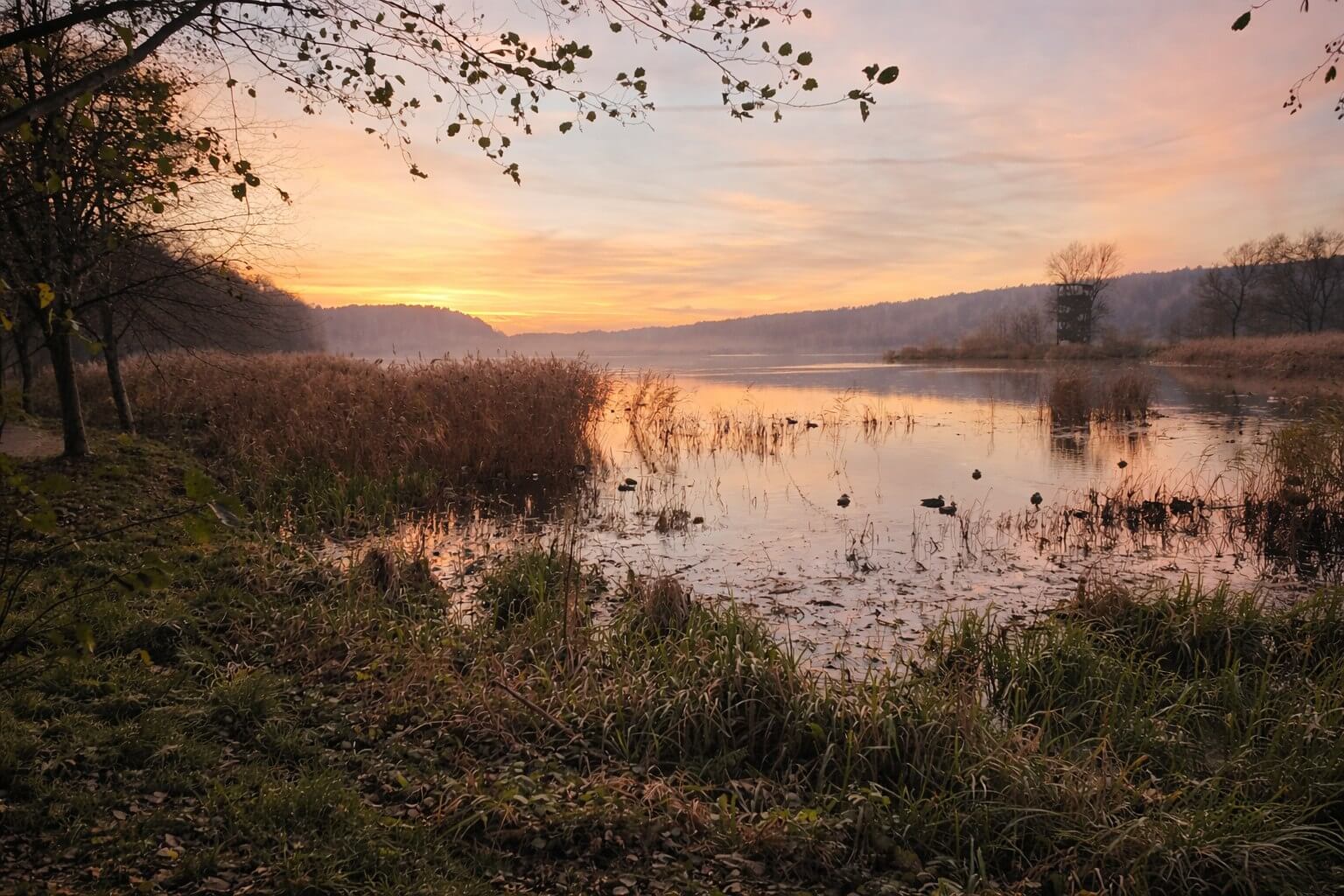 Plener ślubny nad jeziorem