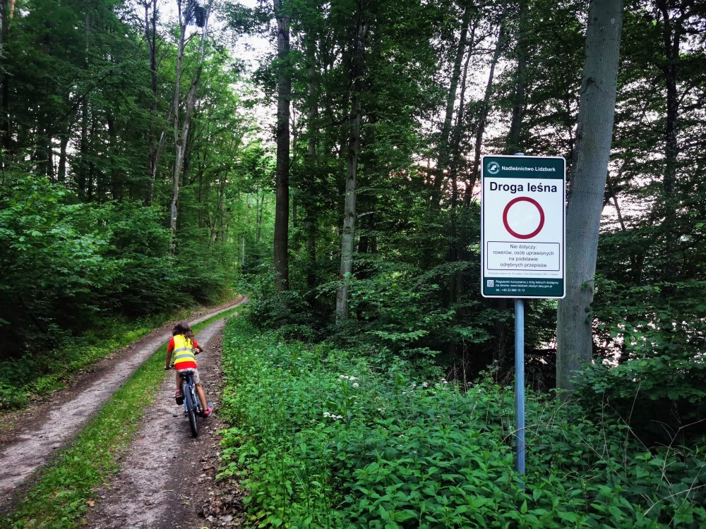 Jezioro Lidzbarskie – sporty wodne i wypoczynek