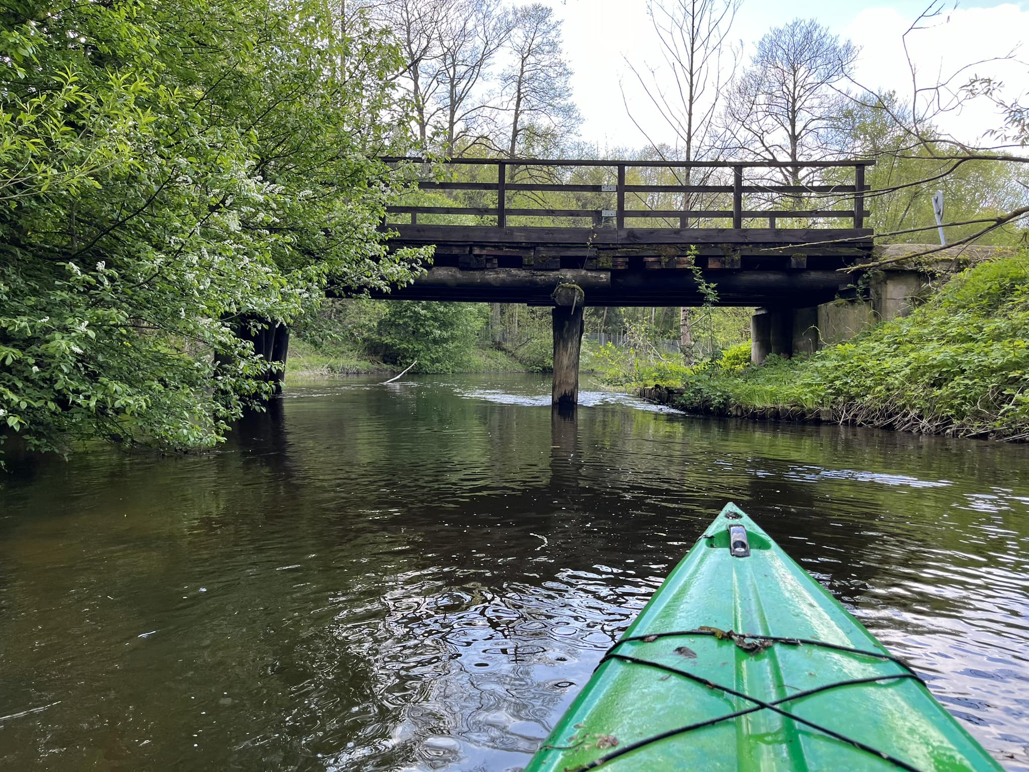 Rzeka Wel w okolicy Lidzbarka – przyroda Warmii